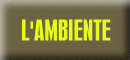 AMBIENTE