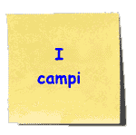 I campi